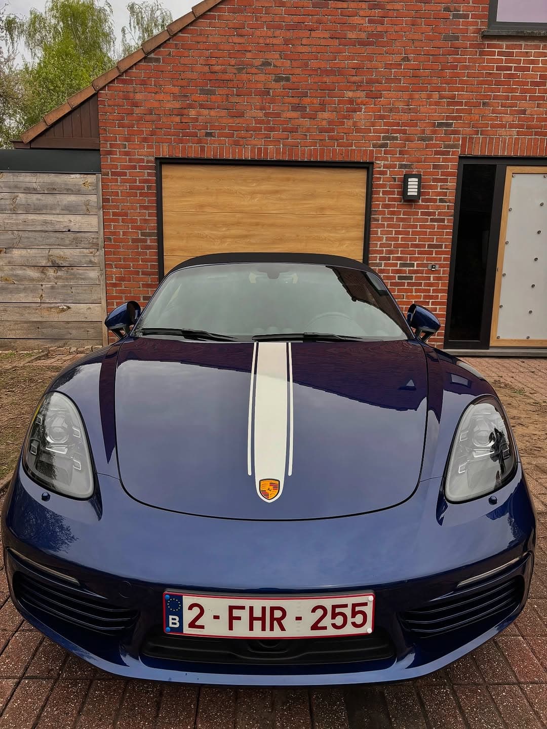 YNS best work foto 1